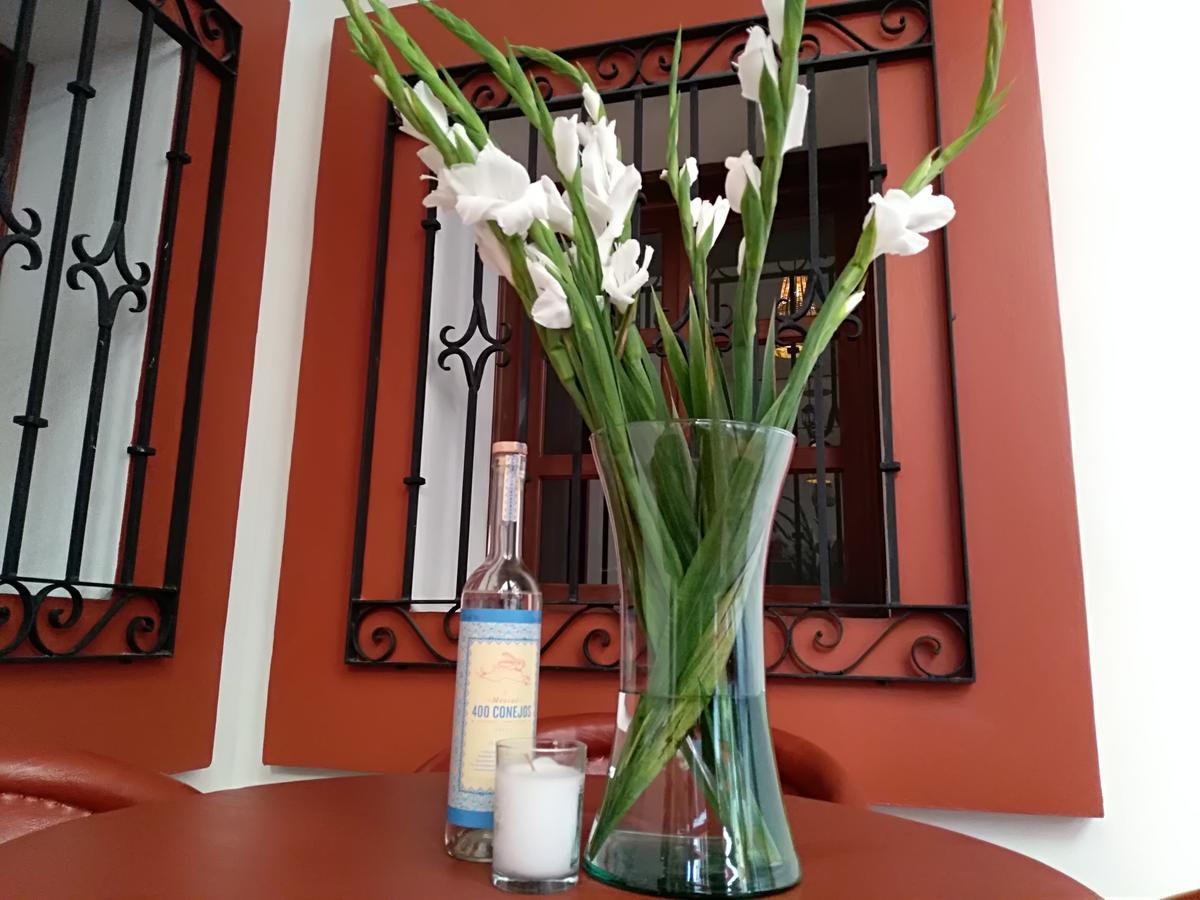 مبيت وإفطار Casa Agave Oaxaca المظهر الخارجي الصورة