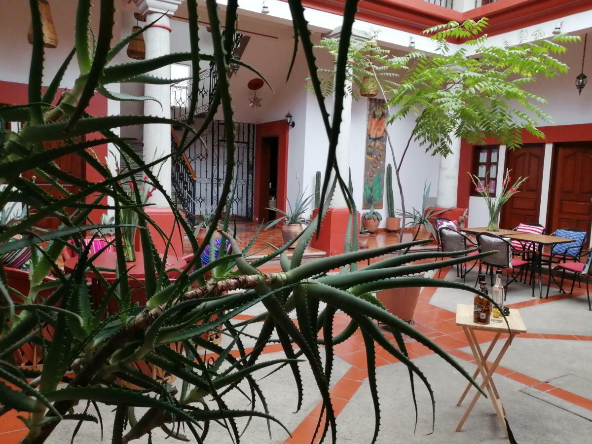 مبيت وإفطار Casa Agave Oaxaca المظهر الخارجي الصورة